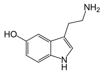Mutluluk Hormonu Serotonin Nedir ve Faydaları Nelerdir?