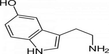 Serotonin Fazlal